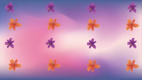 Different types of flowers on abstract dark background Stock Footage 153650329