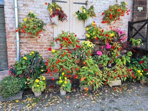 Different types of flowers are planted near the wall of the stone building Stock Photos
