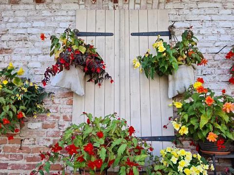 Different types of flowers are planted near the wall of the stone building Stock Photos