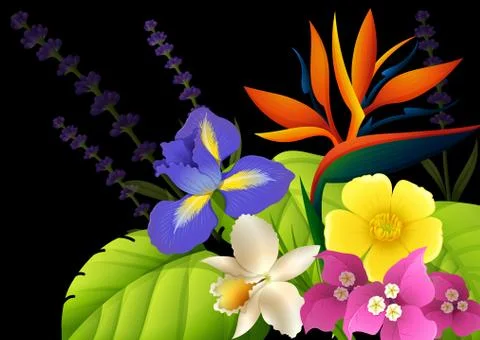 Different types of flowers on black background 库存插图