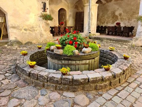 Different types of flowers in small pots were planted in old stone flower bed Stock Photos