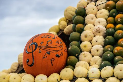 Different types of gourds side by side Stock Photos