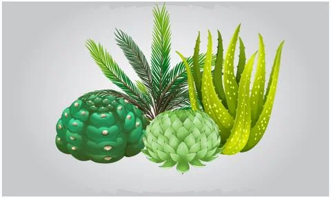Different types of herbal plants on abstract background Stock Illustration