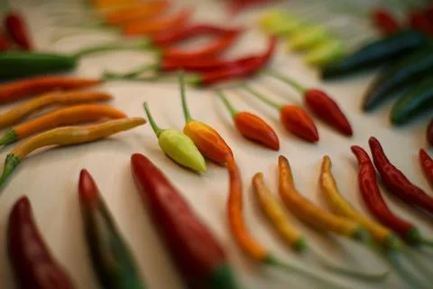 Different types of hot pepper in different colors from green to purple Stock Photos