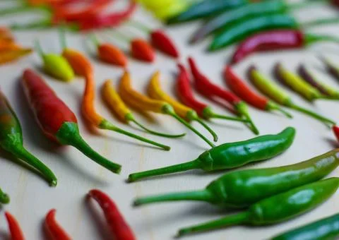 Different types of hot pepper in different colors from green to purple Stock Photos