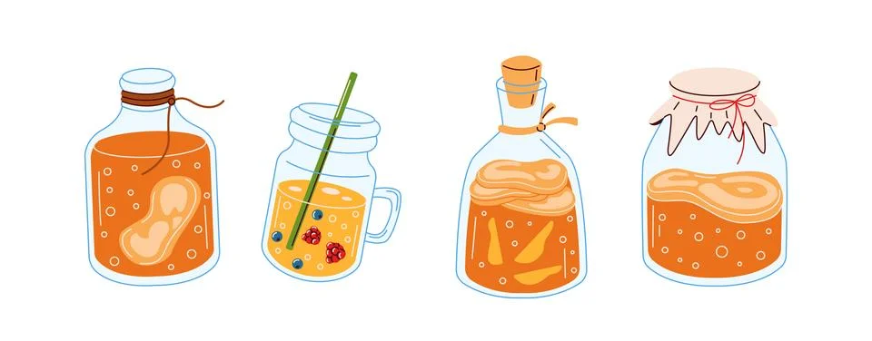 Different types of kombucha brewing jars and bottles Stock Illustration