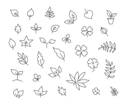 Different types of leaves set of various species of trees and plants drawing Stock Illustration