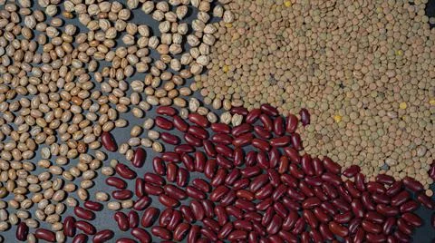 Different types of legumes Foto stock