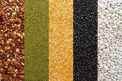 Different types of legumes Stock Photos