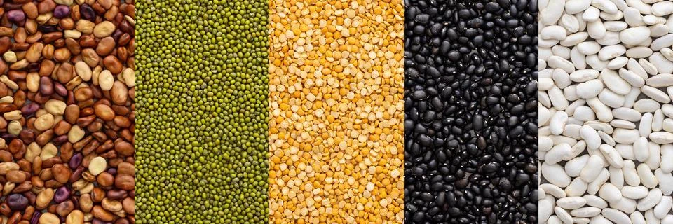 Different types of legumes Stock Photos