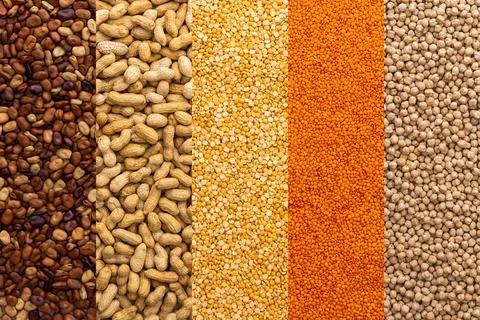 Different types of legumes Stock Photos