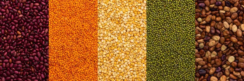 Different types of legumes Stock Photos