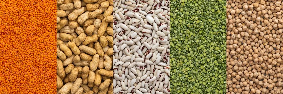 Different types of legumes Stock Photos