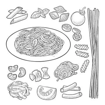 Different types macaroni. Vector vintage black engraving isolated on white Illustration