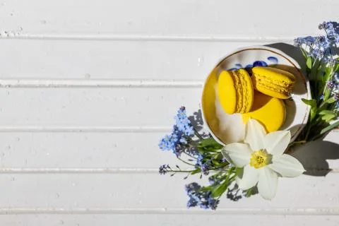 Different types of macaroons as composition with flowers on a white wooden Stock-Fotos