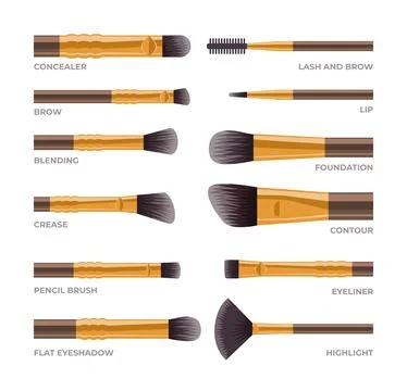 Different types of makeup brush types set beauty cosmetics, Blush, eyeshado.. Stock Illustration