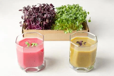 Different types of microgreens smoothie as a snack for healthy eating. Close up Stock Photos