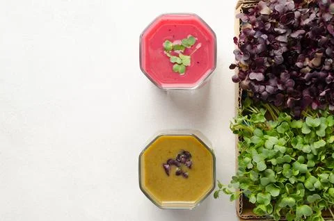 Different types of microgreens smoothie as a snack for healthy eating. Close up Stock Photos