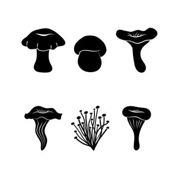 Different types of mushrooms Stock Illustration