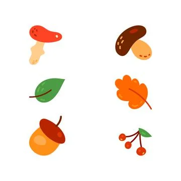 Different types of mushrooms set, vector illustration Stock Illustration