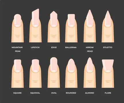 Different types of nail shapes set collection for best book course manicure.. Stock Illustration
