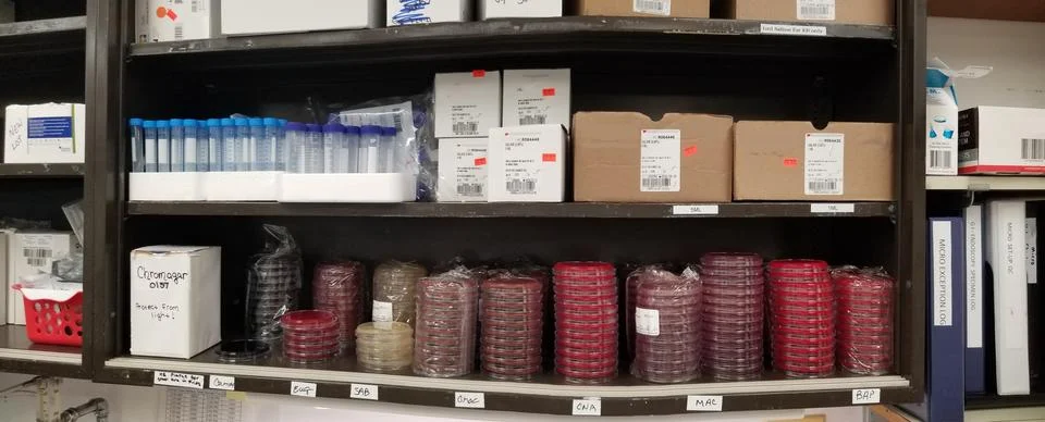 Different types of new agar plates on laboratory shelf Stock Photos