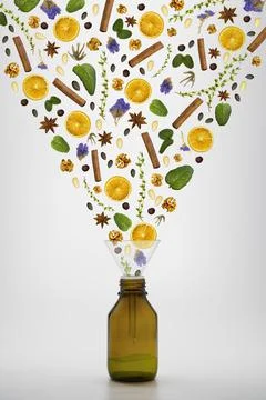 Different types of nuts leaves and fruits fall to a dark brown medicine bottl Stock Illustration