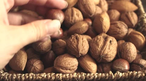 Different types of nuts: walnut hazelnut cashew peanuts brazil nuts pine Vídeos de archivo 64745548