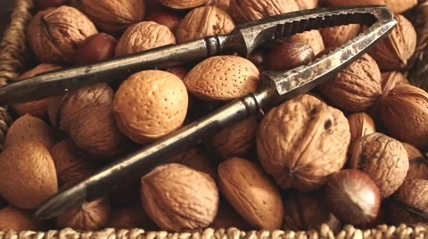 Different types of nuts: walnut hazelnut cashew peanuts brazil nuts pine Vídeos de archivo 64745560