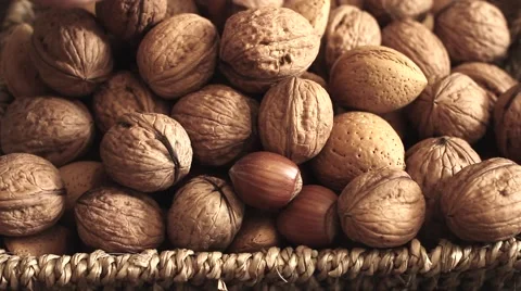 Different types of nuts: walnut hazelnut cashew peanuts brazil nuts pine Vídeos de archivo 64745647