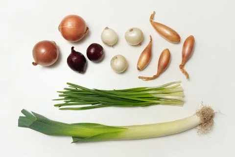 Different types of onions on a white background. Vegetables. Rapchata, green Stock Photos