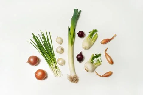 Different types of onions on a white background. Vegetables. Rapchata, green Stock Photos