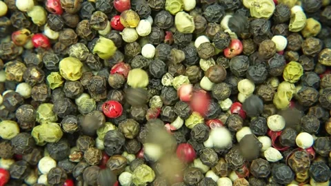 Different types of peppers cover the background. Spilling colorful peppers Vídeos de archivo 237114536