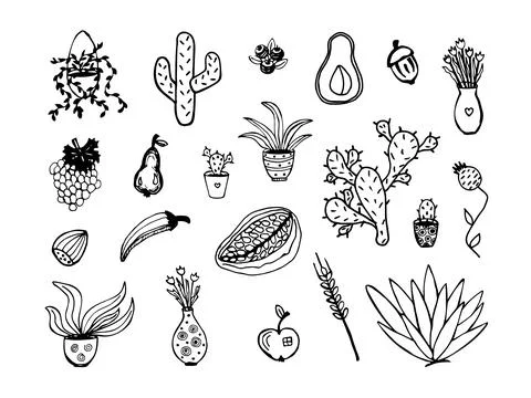 Different types of plants, doodle set Stock Illustration