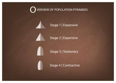 Different Types of Population Pyramids on Chalkboard Background Stock Illustration