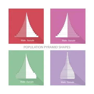 The Different Types of Population Pyramids Graphs Stock Illustration