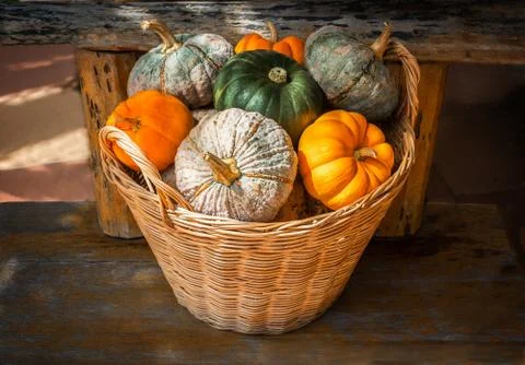 Different types of pumpkins in the straw basket on the wooden Stock Photos