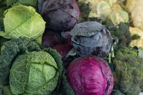Different types of real organic cabbage on the market Foto stock