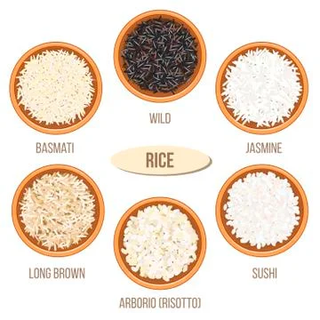 Different types of rice in bowls. Basmati, wild, jasmine, long brown, arborio Stock Illustration