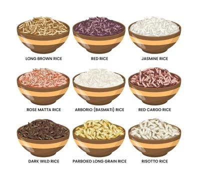 Different types of rice set collection, rice bowl contain long brown, red, .. Illustrazione stock