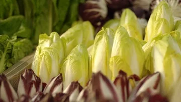 Different types of salad Stock Footage 85715436