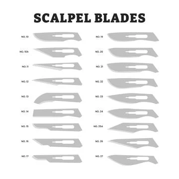 Different types of scalpel blades set collection, educational medical poste.. Stock Illustration