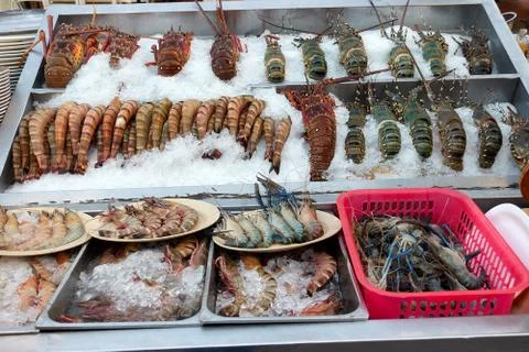 Different types of seafood lined on ice Stock Photos