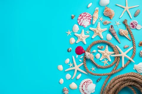 Different types of seashells and starfish on a blue background with a rope. Stock Photos