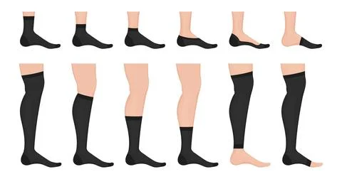 Different types of socks showing how they fit on feet and legs Stock Illustration