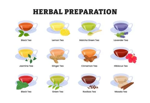 Different types of tea herbal preparation set collection, popular drinks in.. Stock Illustration