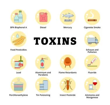 Different types of toxin types, BPA, Cigarette Smoke, Diesel, Exhaust and P.. Stock Illustration