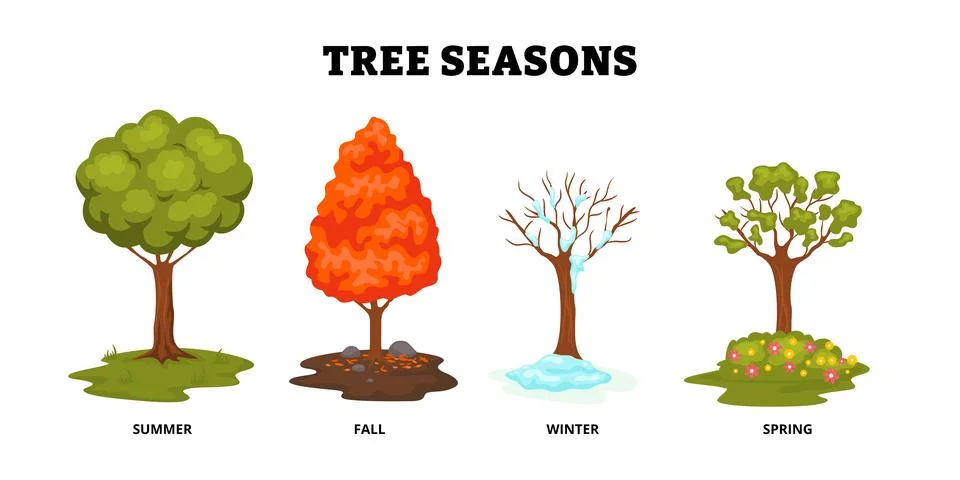 Different types of tree season types set collection. Preposition of time po.. Stock Illustration