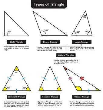 Different types of triangle infographic diagram basic mathematics science Illustration