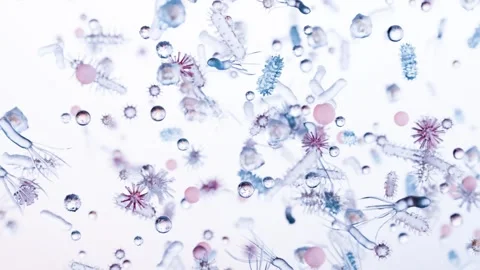 Different types of virus and bacteria and microbe and germs set, Microbiology Stock Footage 285589415